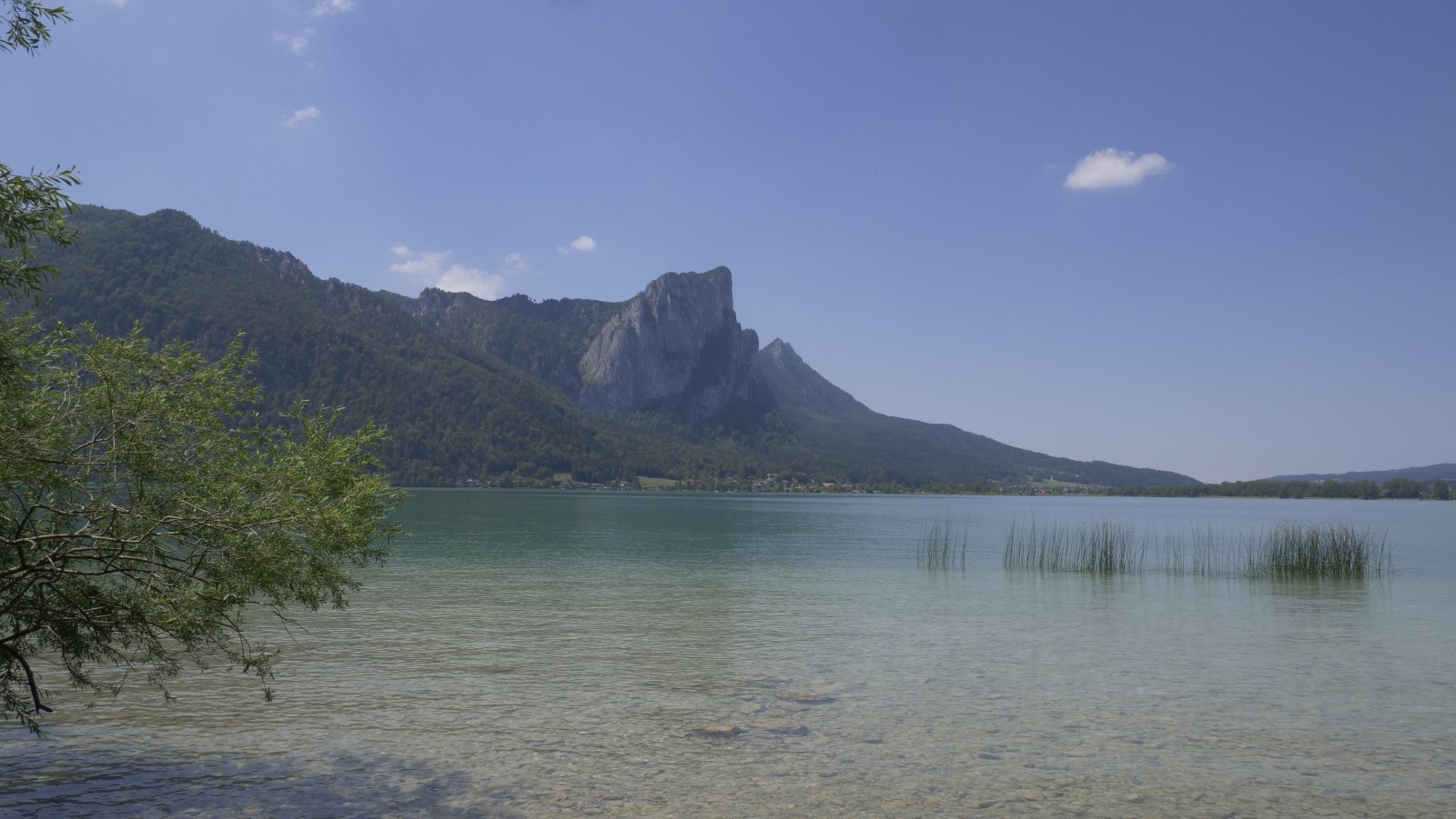 Blick auf den Mondsee