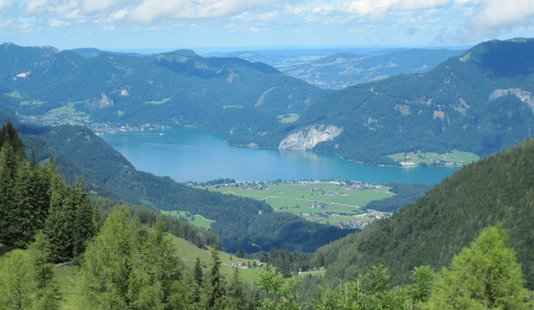 Postalm: Blick auf den Wolfgangsee