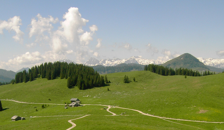 Wandergebiet Postalm