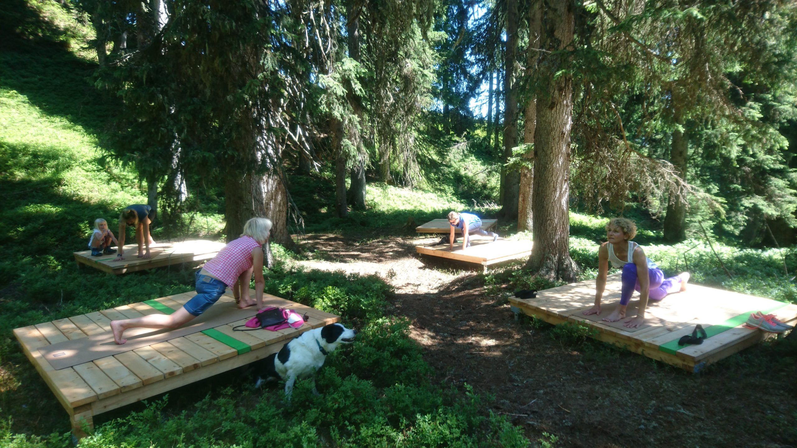 Yoga im Wald