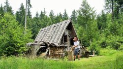 Walderlebnis Rindenhütte