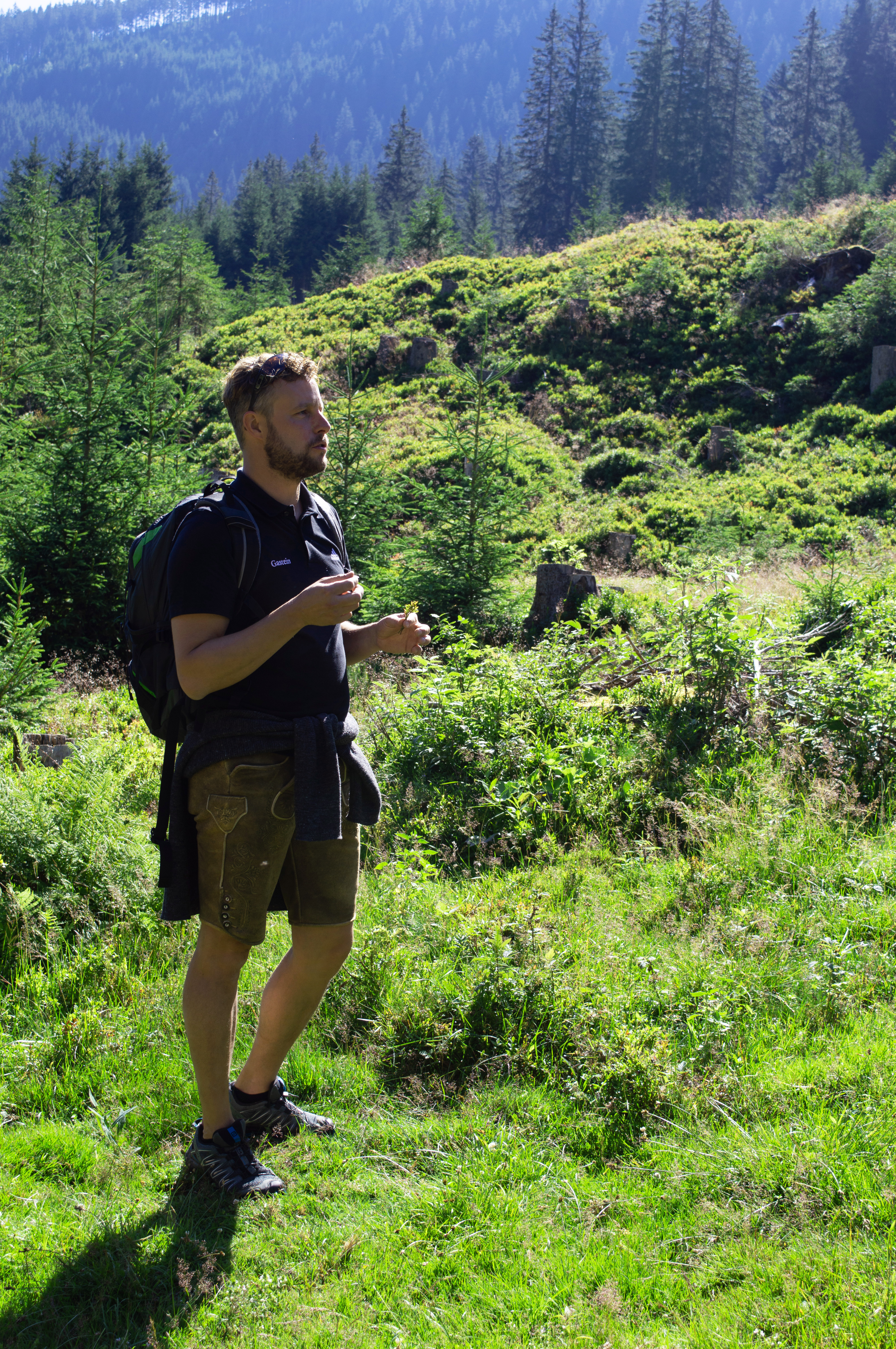 Stefan erklärt Flora & Fauna während der Wanderung