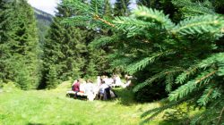Wald:Brunch in Bad Hofgastein