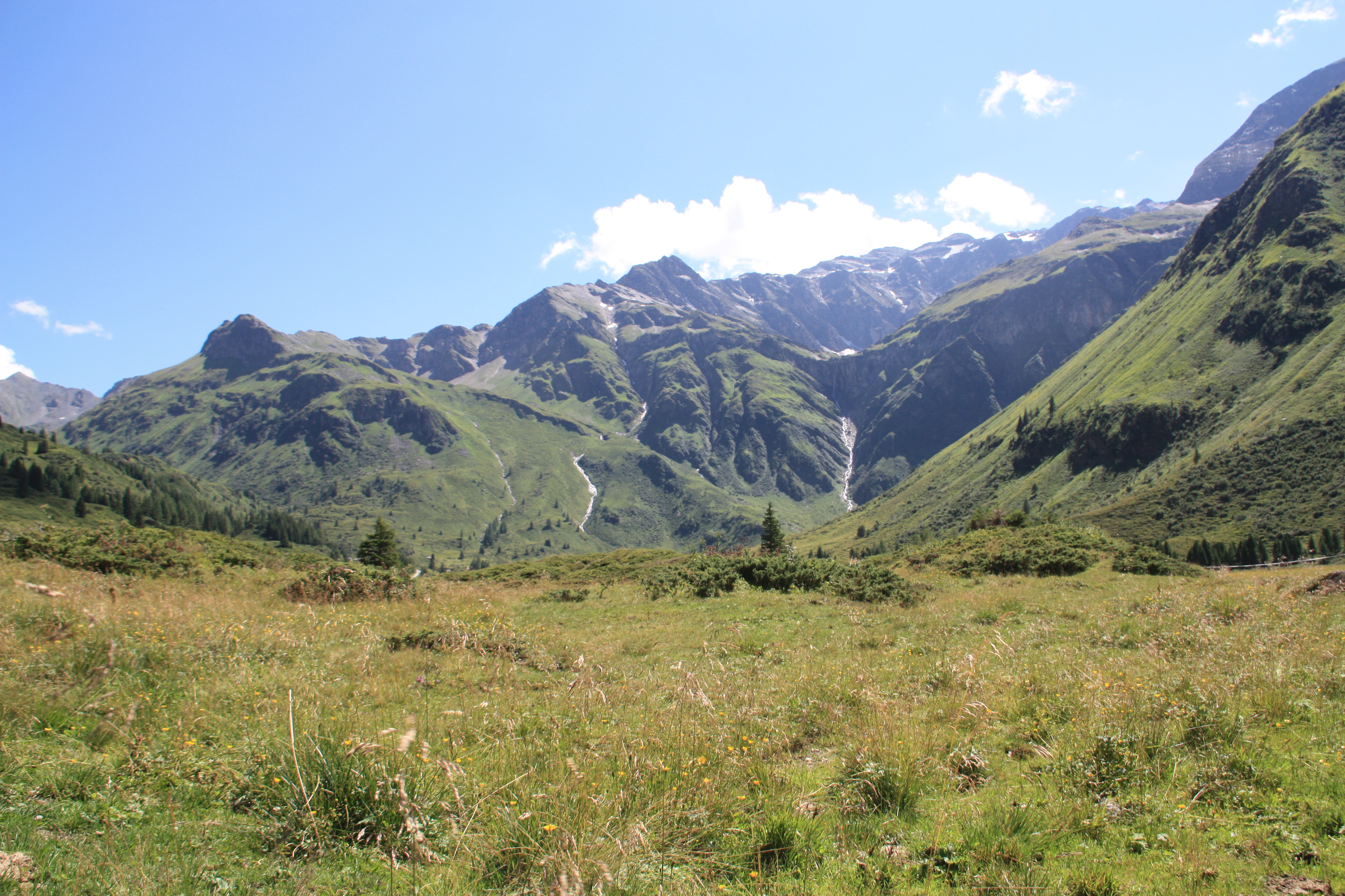 Genossenschaftsalm in Sportgasteiner Talschluss umfass 3800 Hektar