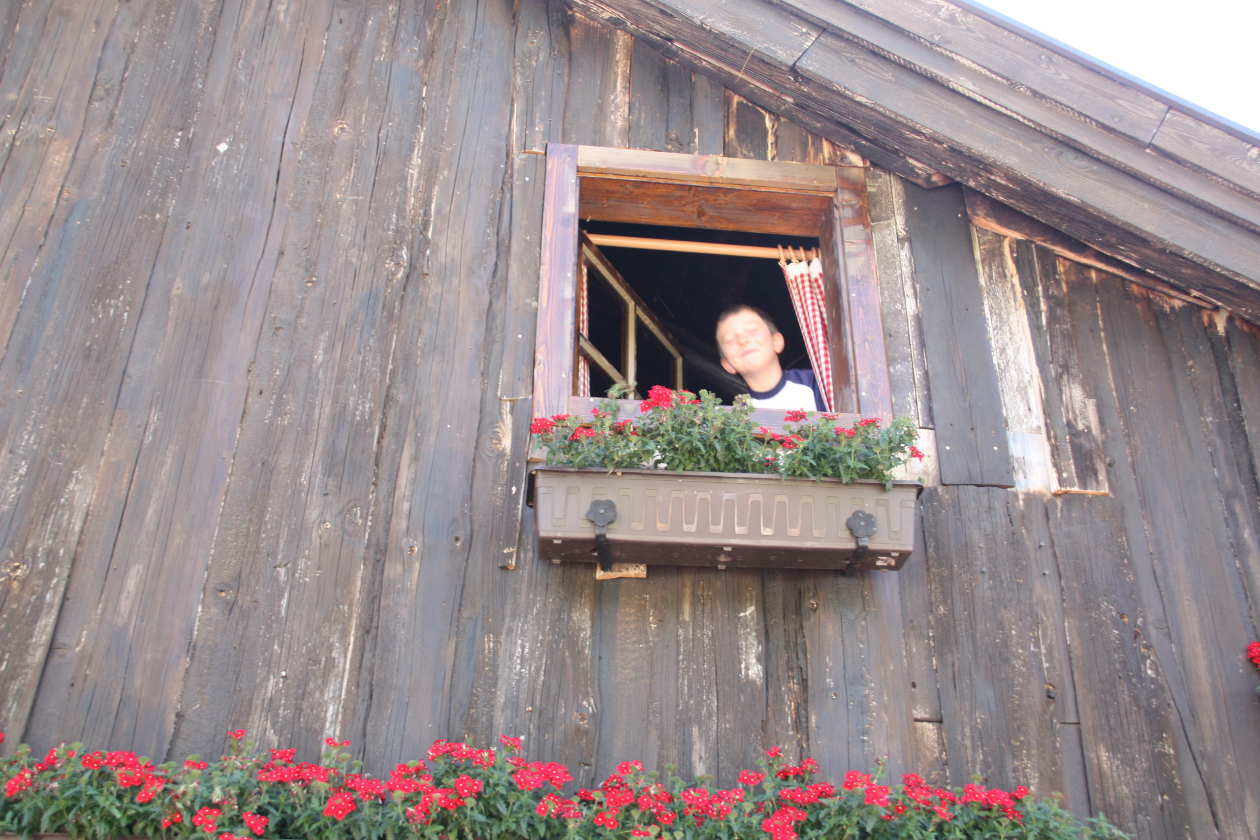 © SalzburgerLand Tourismus, Martina Egger, Matthias  beobachtet das Geschehen aus dem Fenster vom Hüttenlager