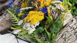 Kräuterweihe im August