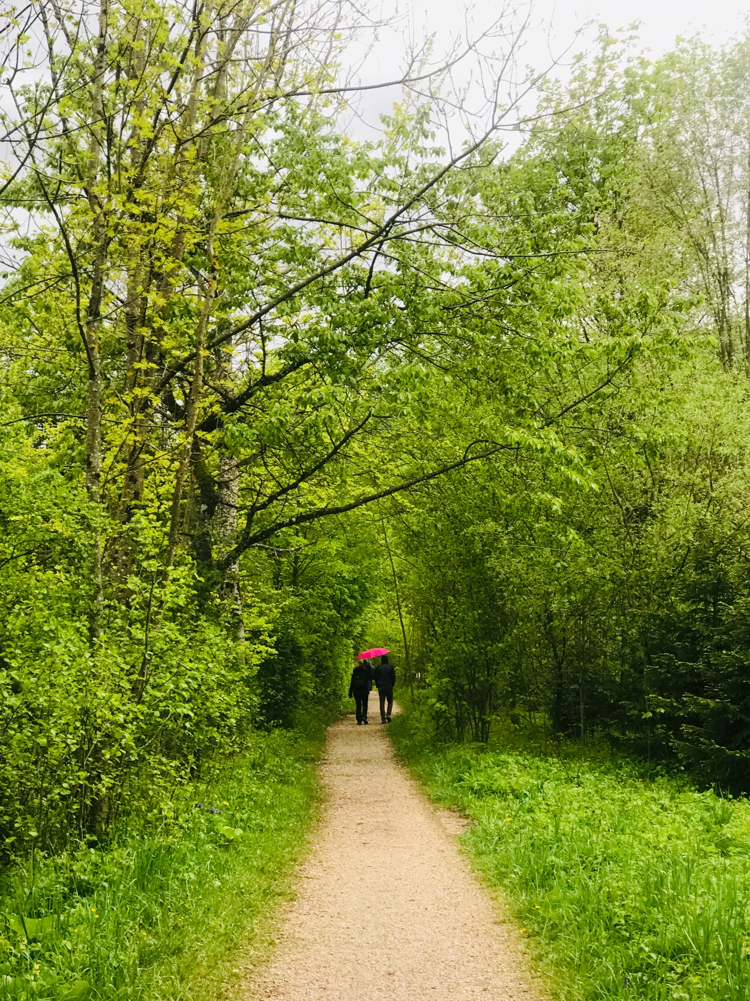 Waldspaziergang