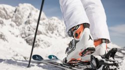 Zurück auf die Piste
