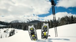 Winterliche Spurensuche im Schnee
