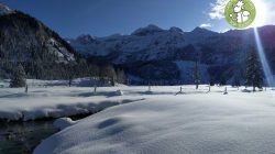 Winterwanderung zur Gnadenalm