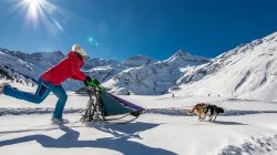 Husky Workshop Sportgastein