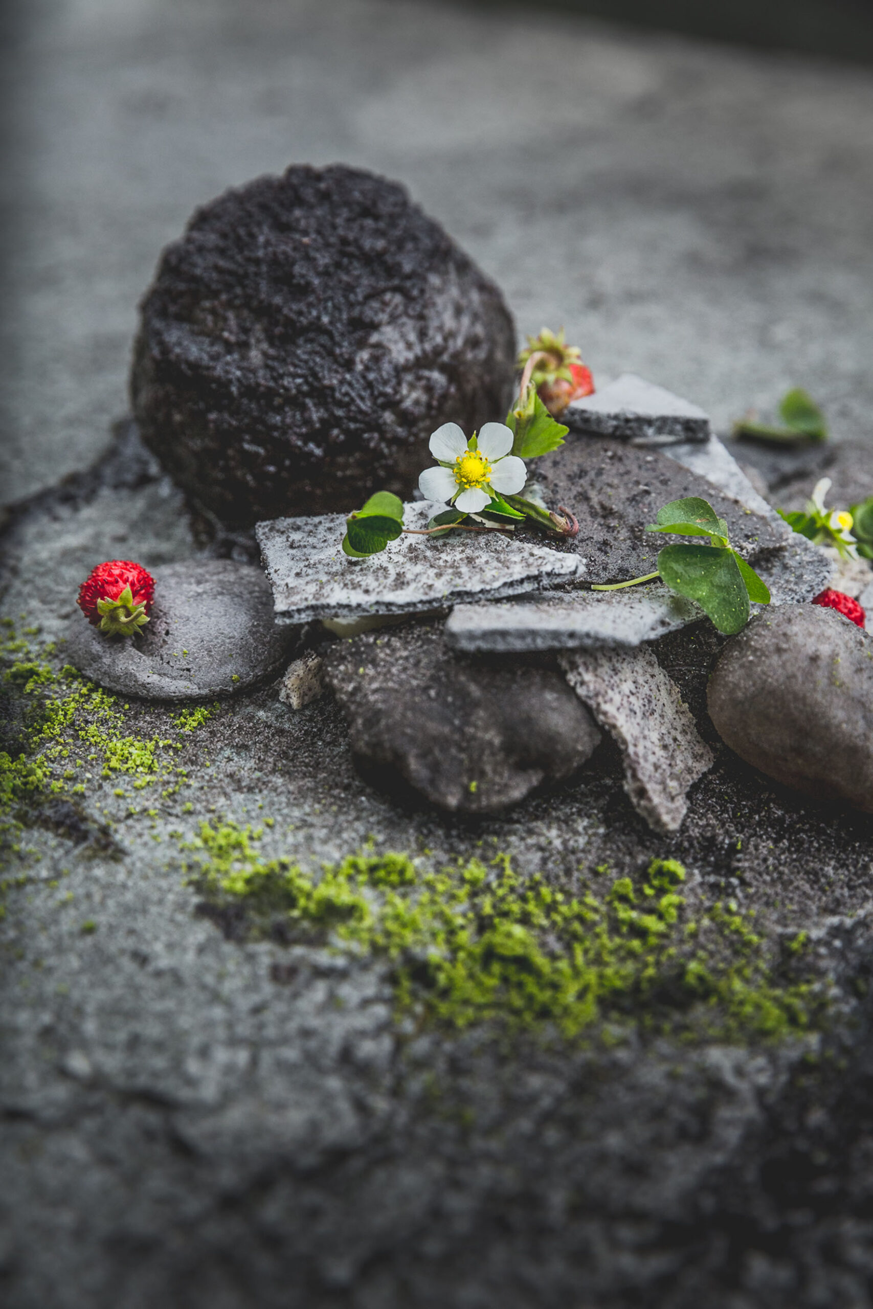 Gericht von Sternekoch Vitus Winkler aus dem "Kräuterreich by Vitus Winkler"