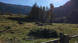 Alles Alm! Erlebnisweg auf der Gnadenalm