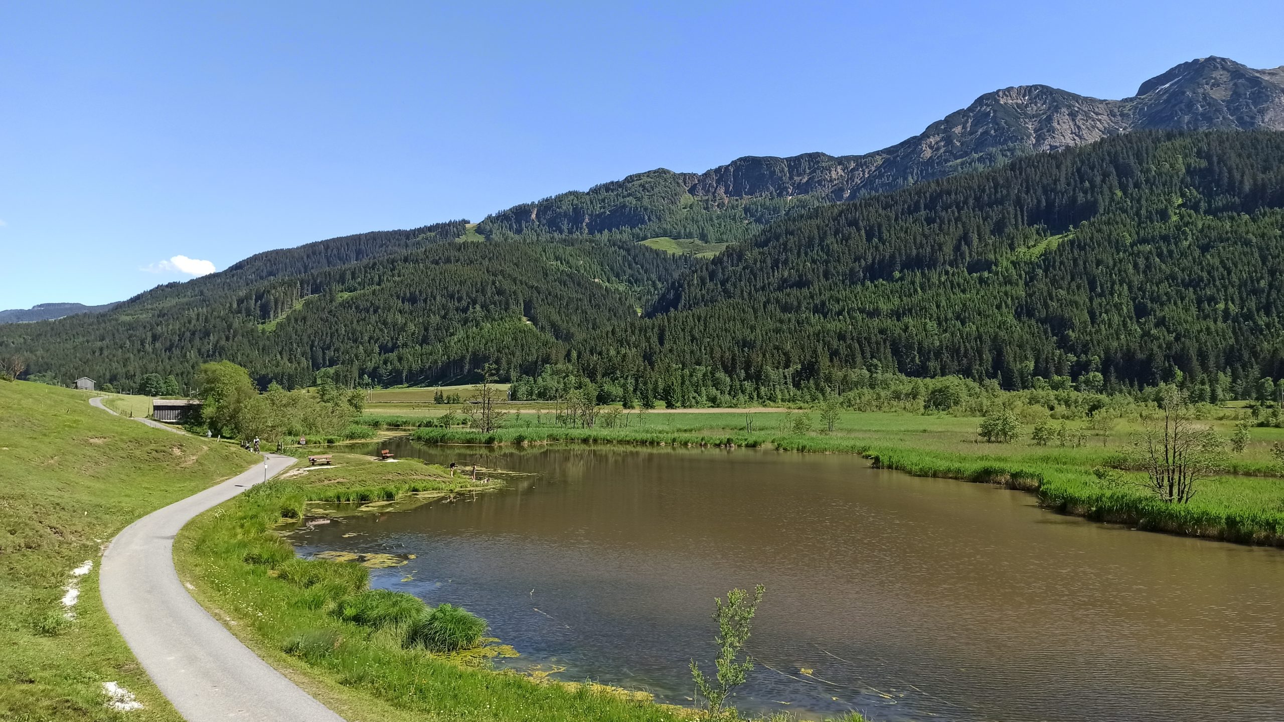 Blick vom Aussichtsturm über den Grießensee in Richtung Osten