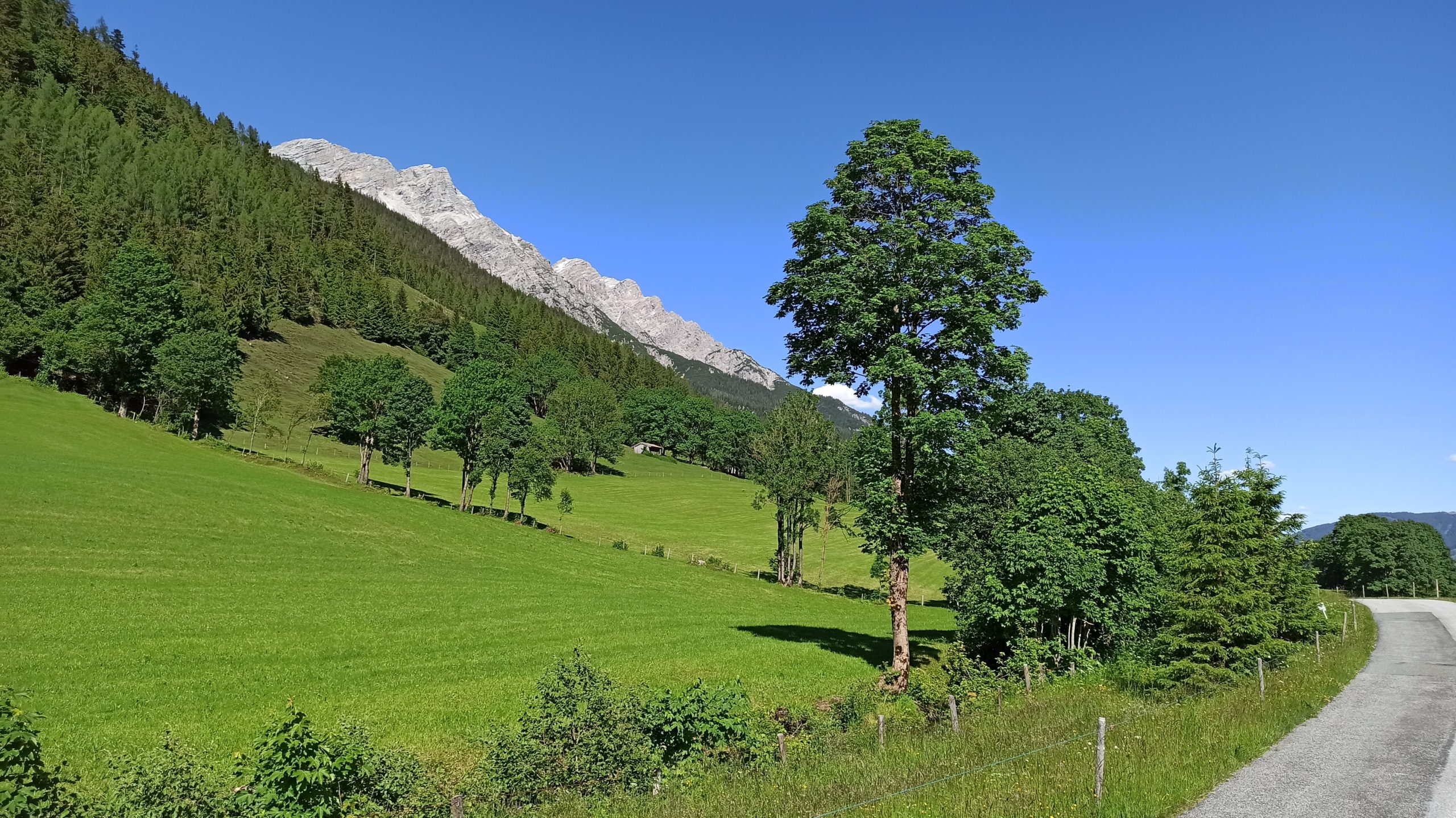 Die Naturkulisse zwischen der Ortschaft Grießen und dem Grießensee