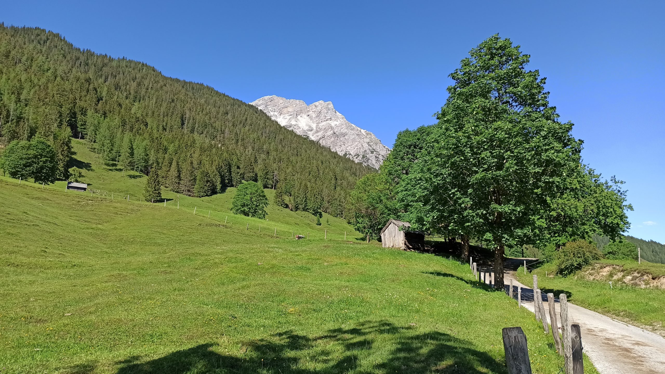 Berge, Wälder und Wiesen prägen das Landschaftsbild