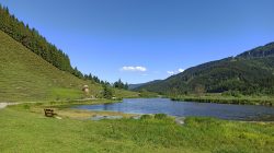 Naturschatz Grießener Moor