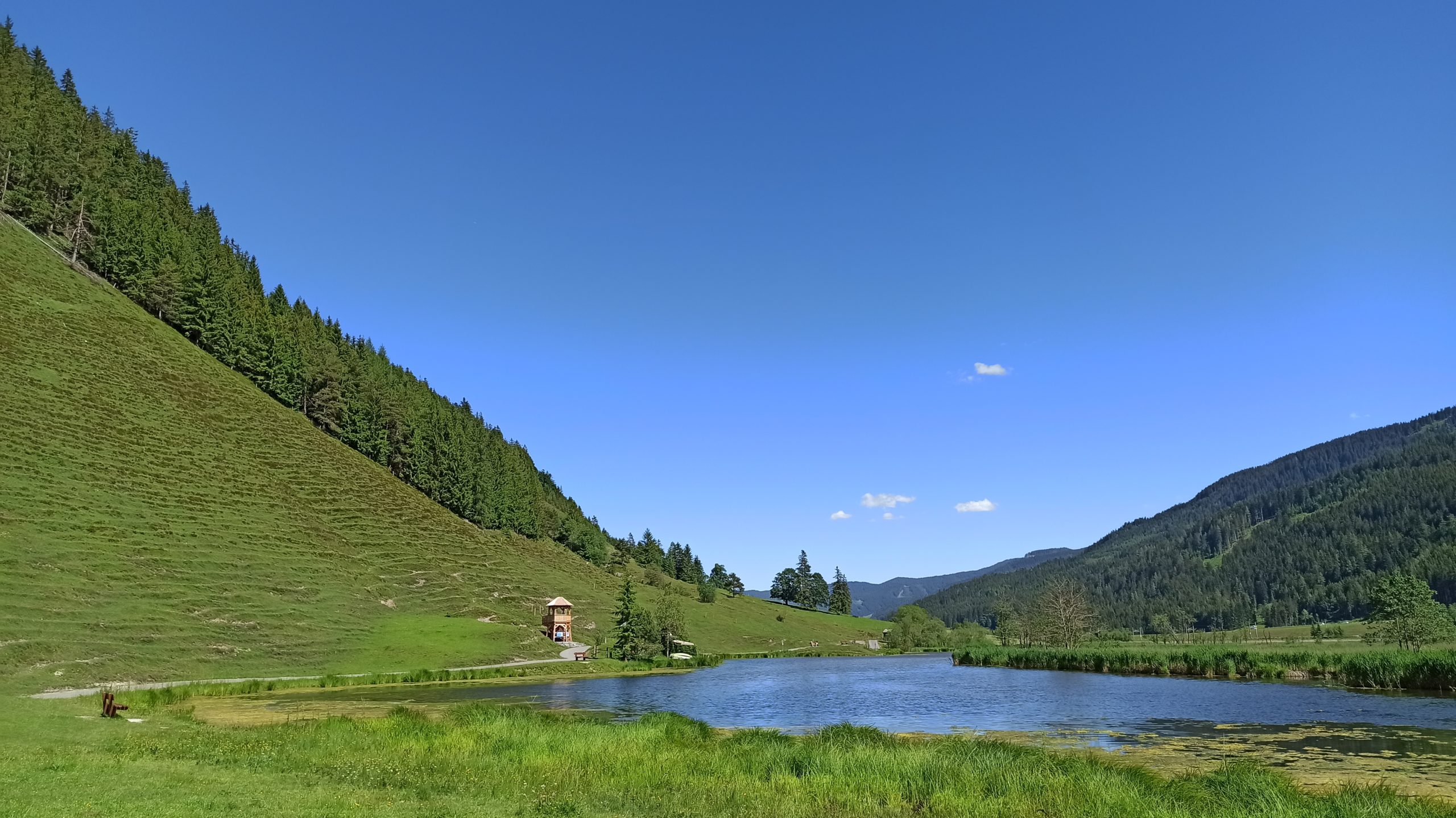 Das ruhige Idyll: Neben dem See der steile Hang