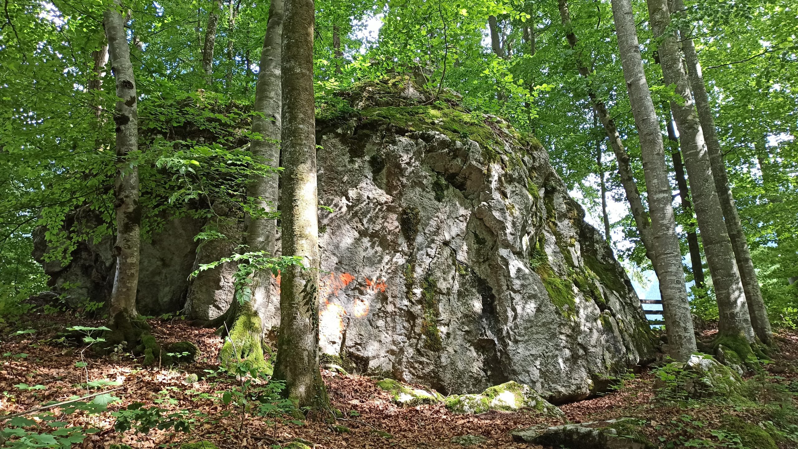 Felsige Wucht gibt's auch im Bairaupark zu bestaunen