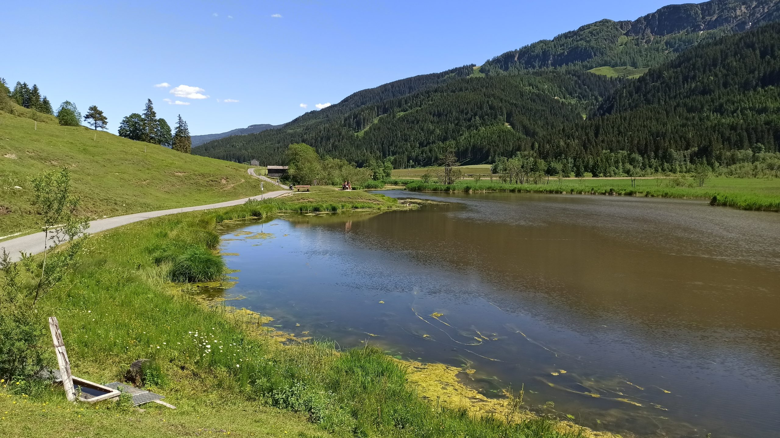 Blick über den Grießensee Richtung Osten