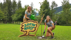 Pflanz dir einen Apfelbaum