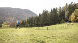 Wandertipp Nockstein