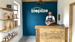 Flachgauer Biopilze