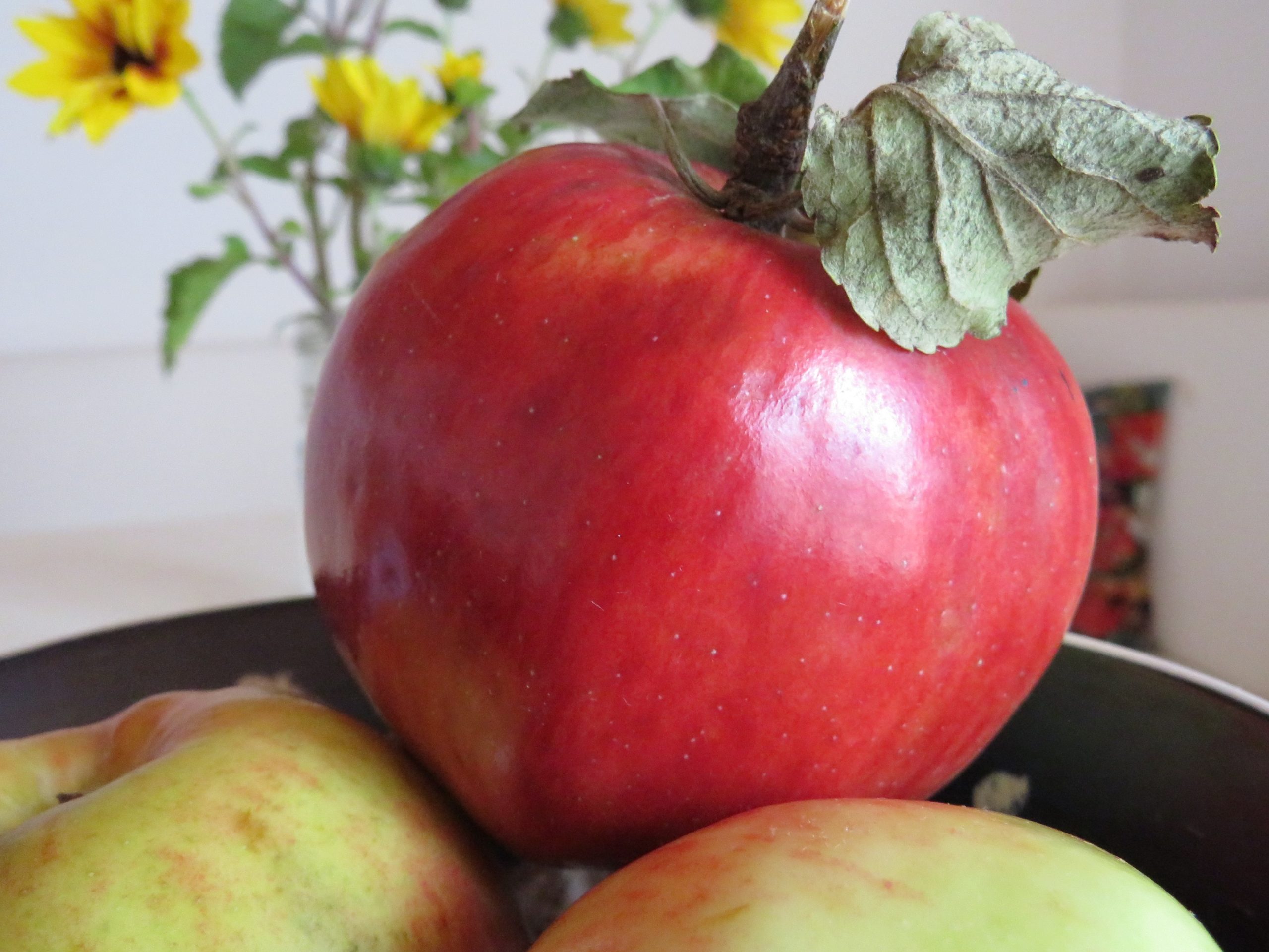 Herrlich: Frische Äpfel für den gesunden Obstkorb