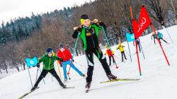 Der Nordic Park am Ritzensee