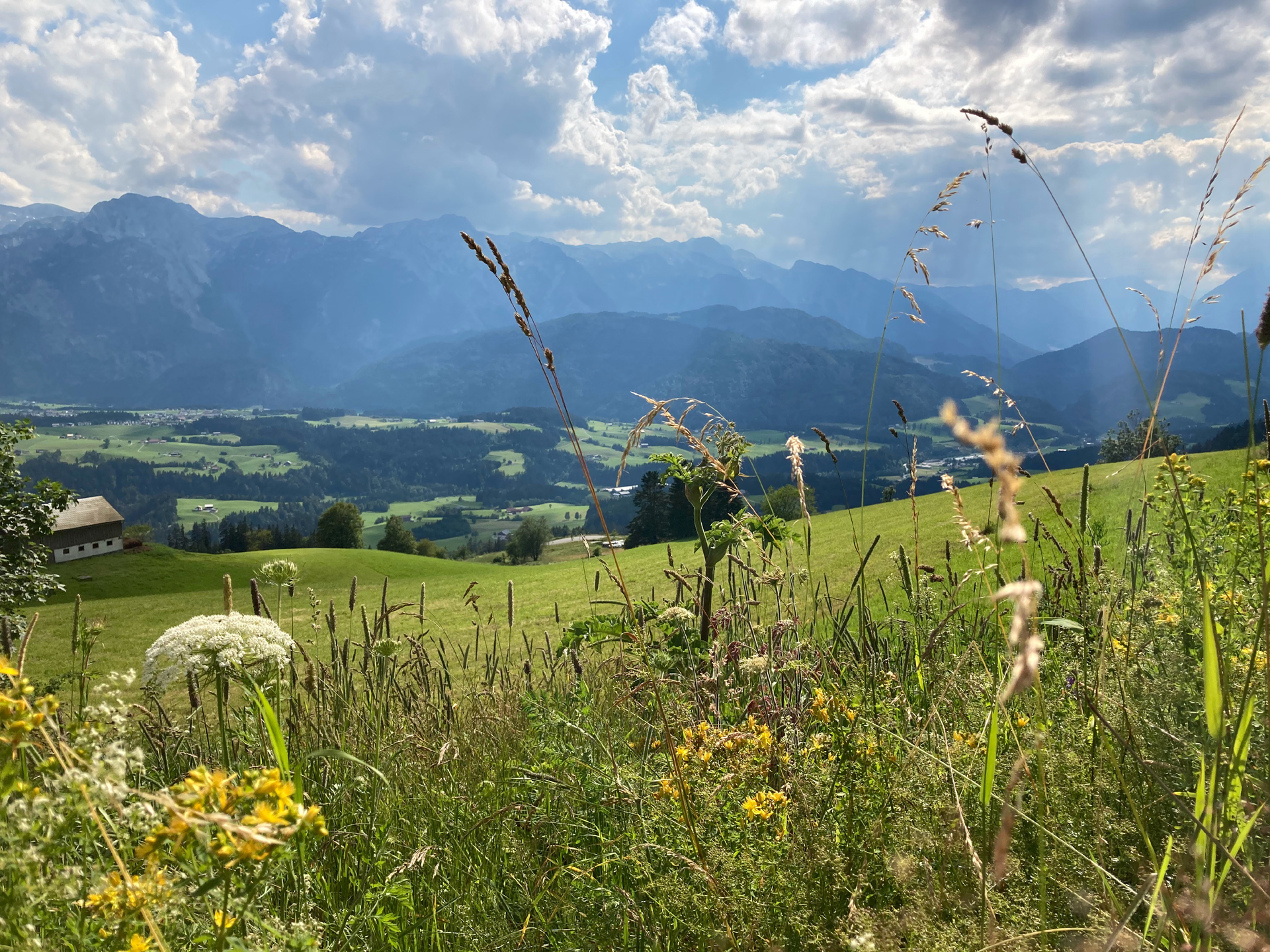 © Fröschl, Blick ins Lammertal