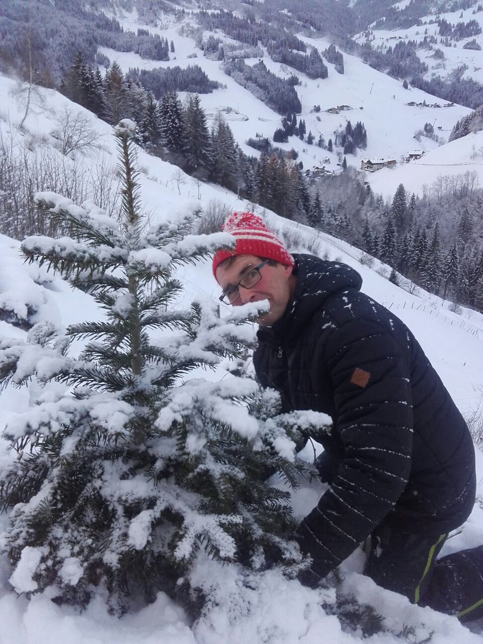 Bauer Sepp bei seinen Christbäumen © Pfandlinghof