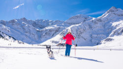 Person in roter Jacke fährt Ski auf verschneitem Gelände mit einem Hund, verschneiten Bergen und blauem Himmel im Hintergrund.