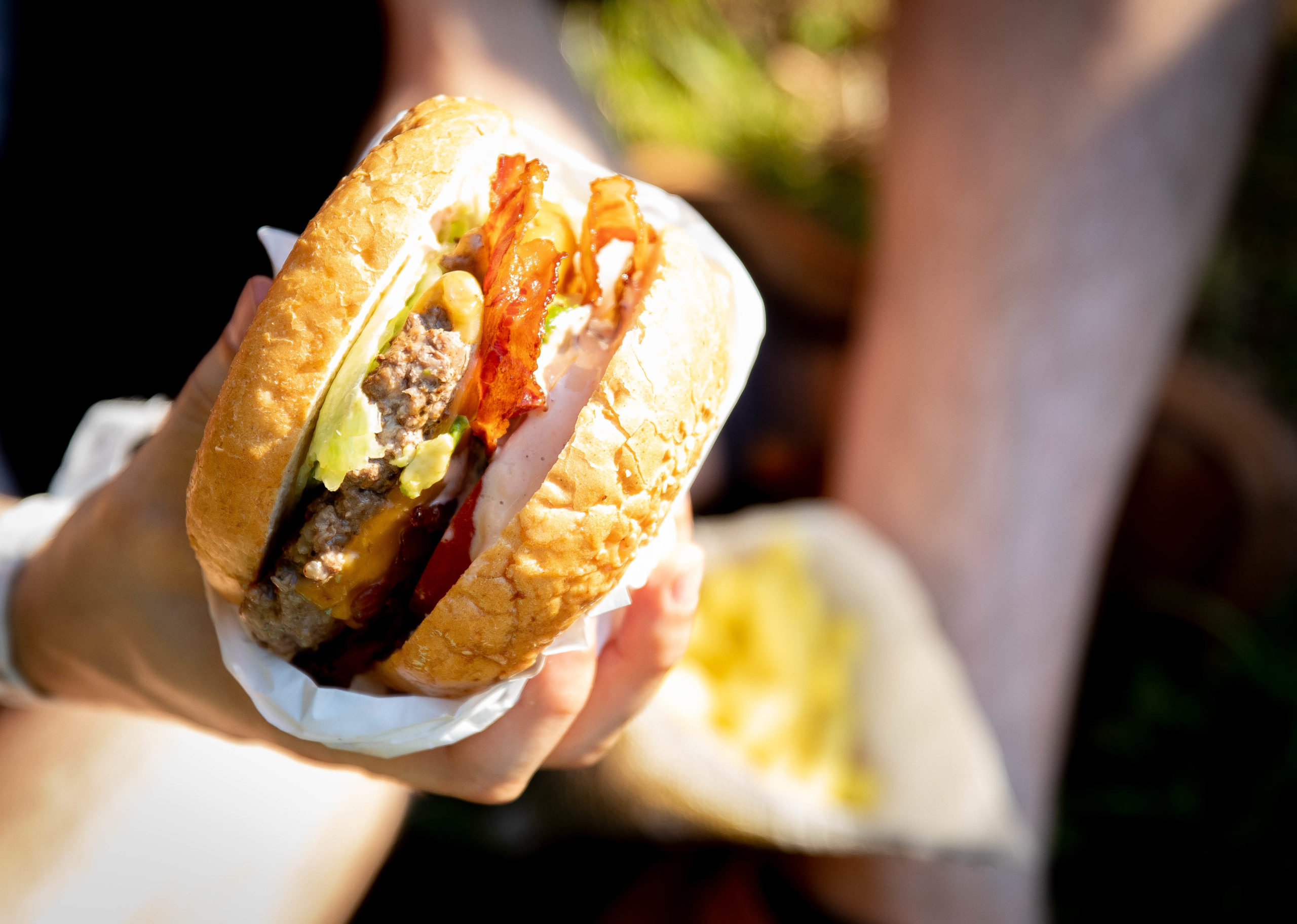 FM4 Picknick im Park, Forstgarten, Hallein, 09.08.2020, (c) wildbild