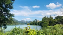 Frühlingswanderungen in der Fuschlseeregion
