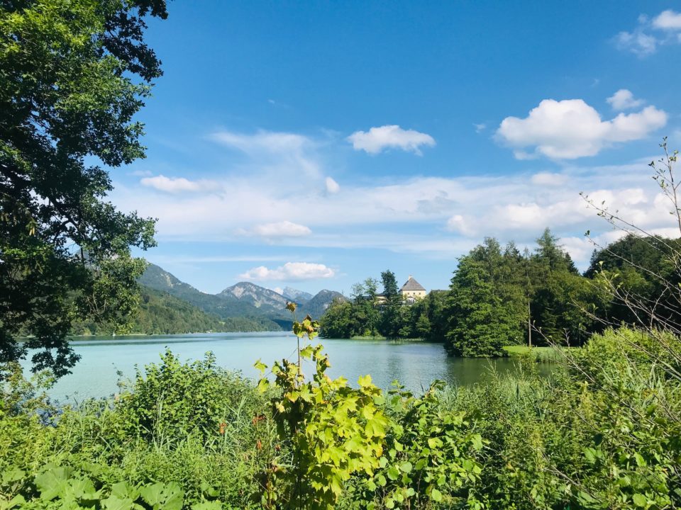 Frühlingswanderungen: rund um den Fuschlsee