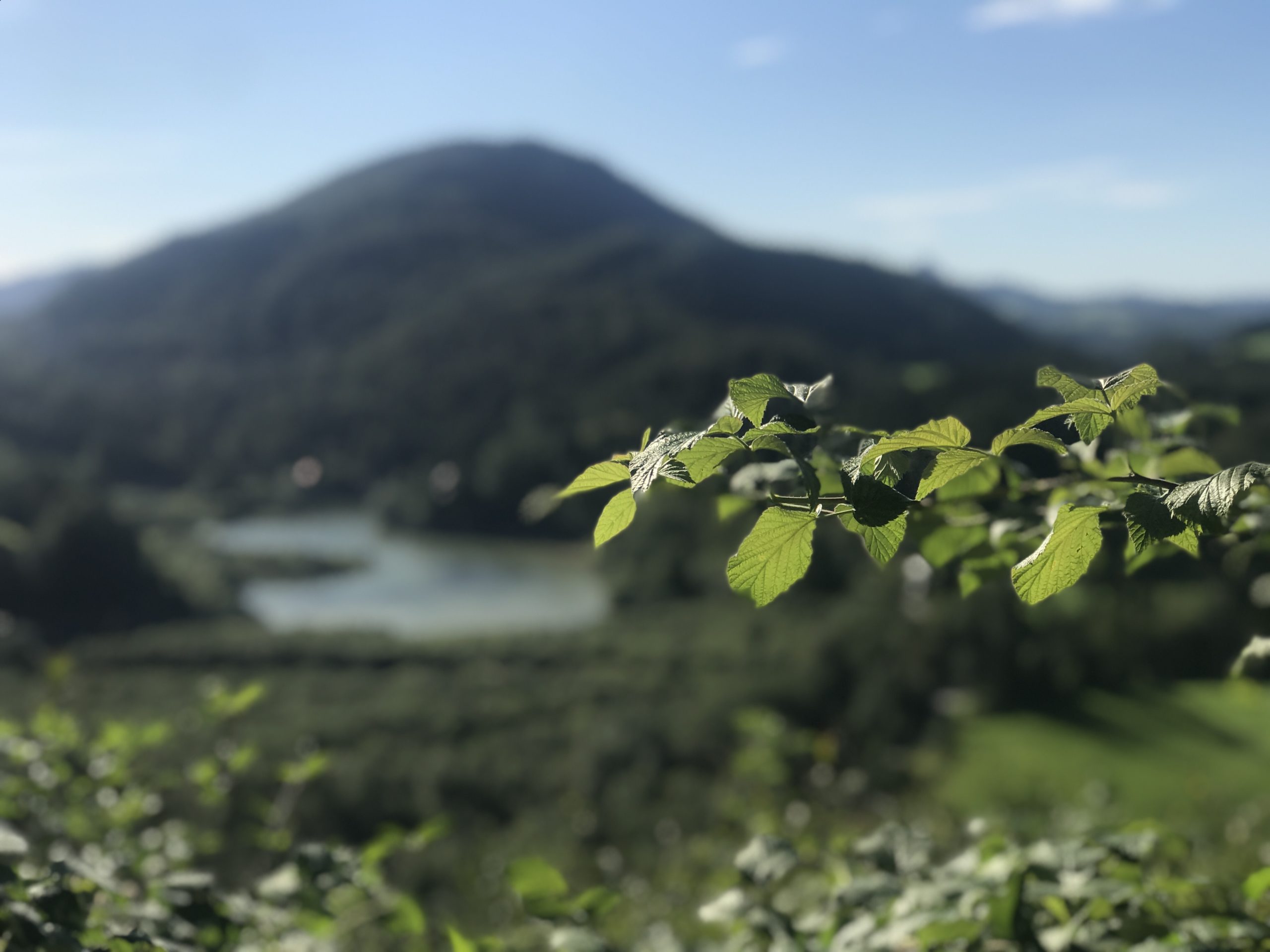 Kugelberg Rundweg Faistenau