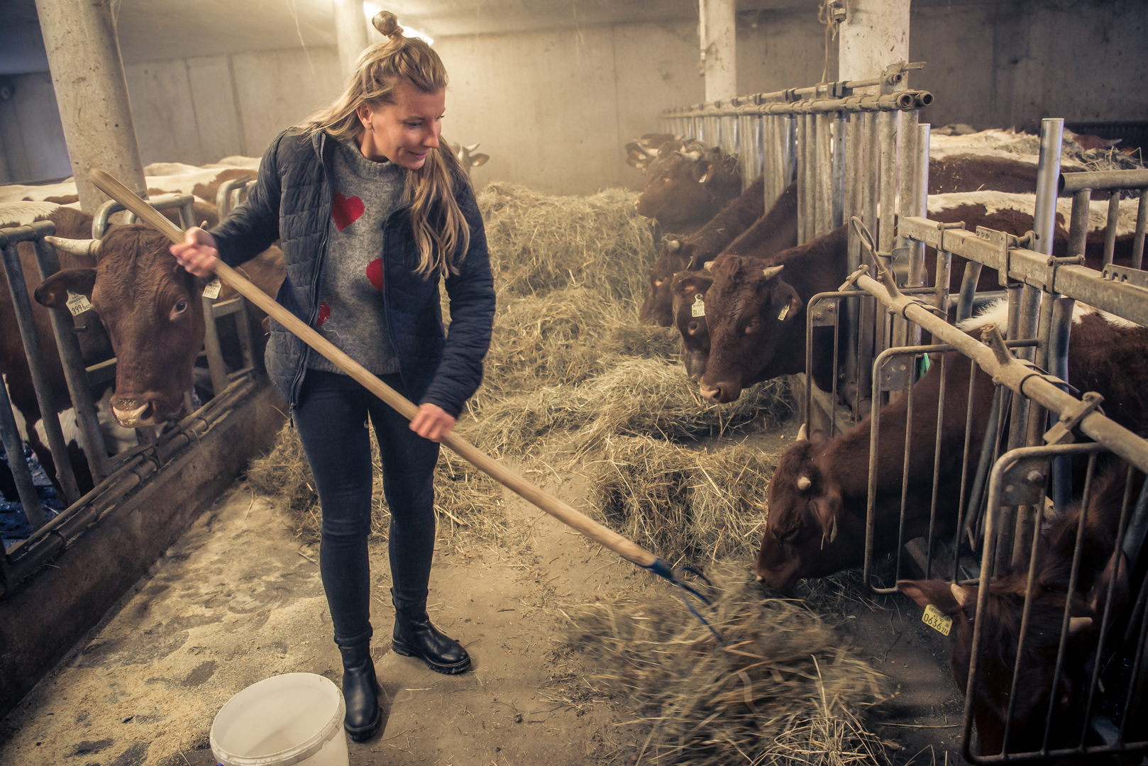 Oli verteilt das Futter. c Edith Danzer