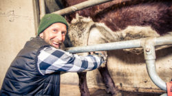 Melken für Anfänger