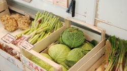 Unverpackt einkaufen in Stadt und Land Salzburg