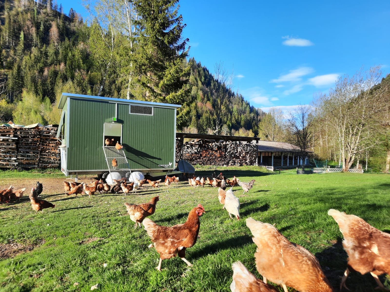 Das Nachtquartier der Hühner - tagsüber genießen sie den großzügigen Freilauf 
© Eva Pronebner-Stock