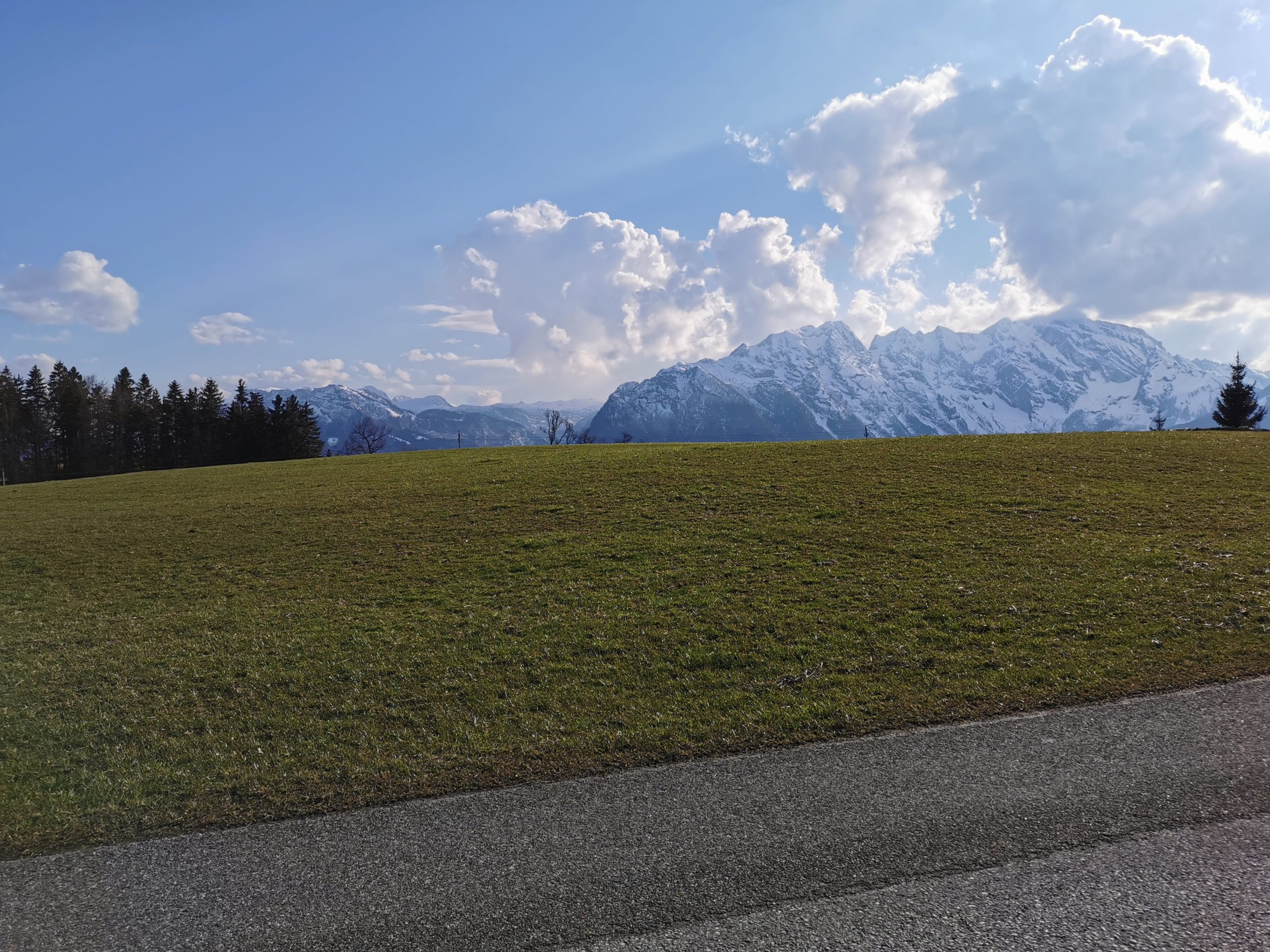 Grünes Feld mit Bergen im Hintergrund, bewölktem Himmel und Bäumen am Horizont.