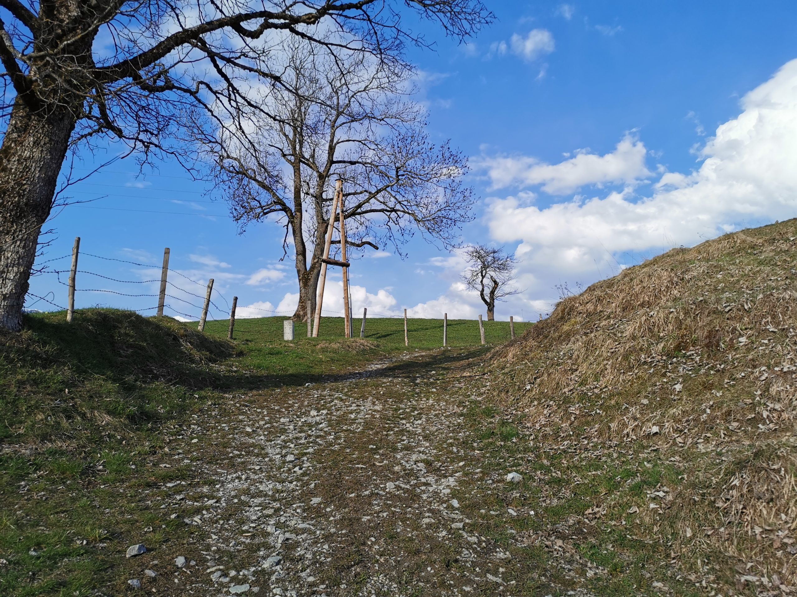  Die liebliche Landschaft von St. Koloman genießen - Taugler Mundartkreuzweg © AlmSinn Martina Egger