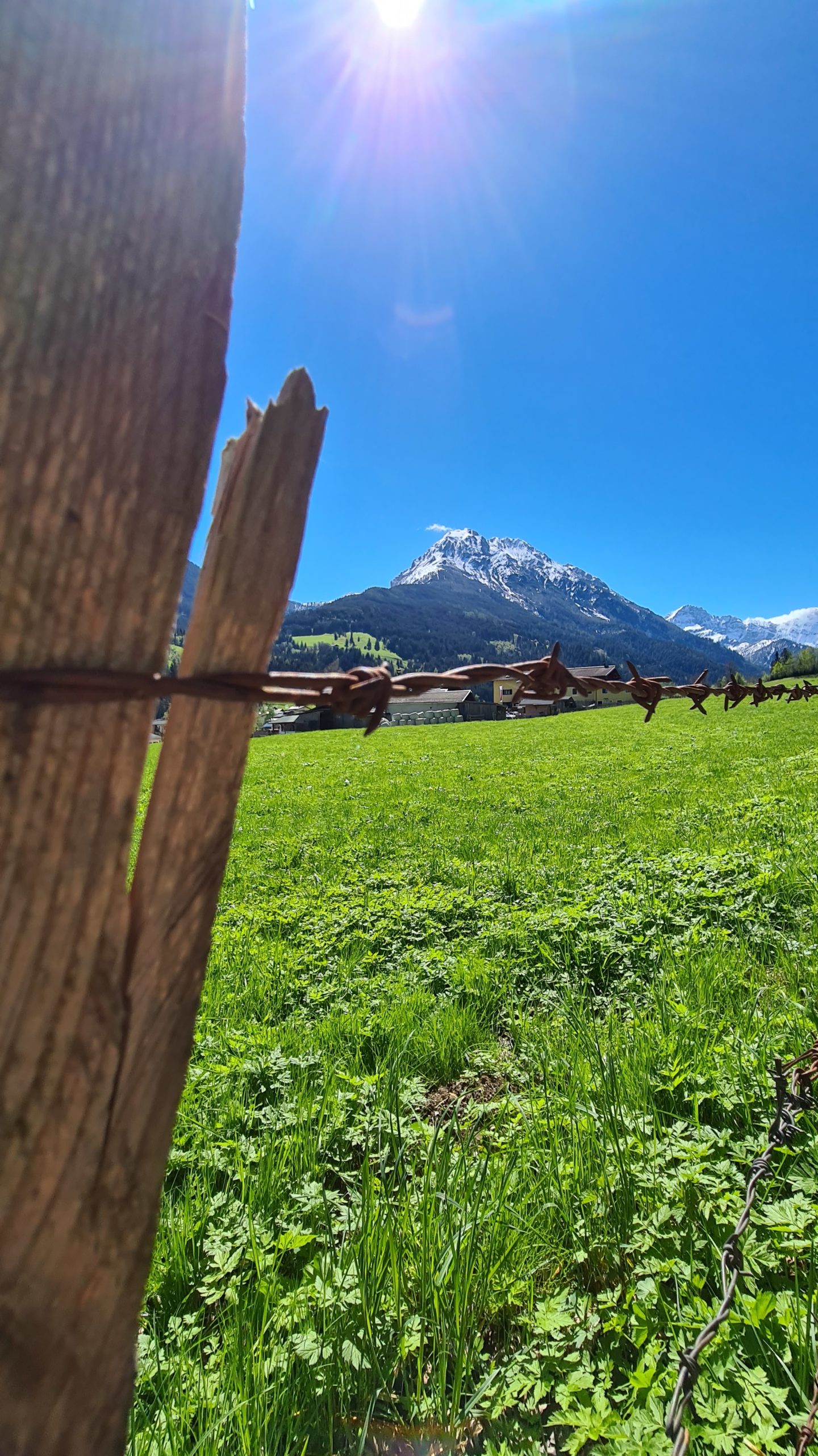 Berg mit Stacheldraht in Wagrain-Kleinarl © Belina Huttegger 