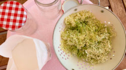 Holunderblüten-Rezepte