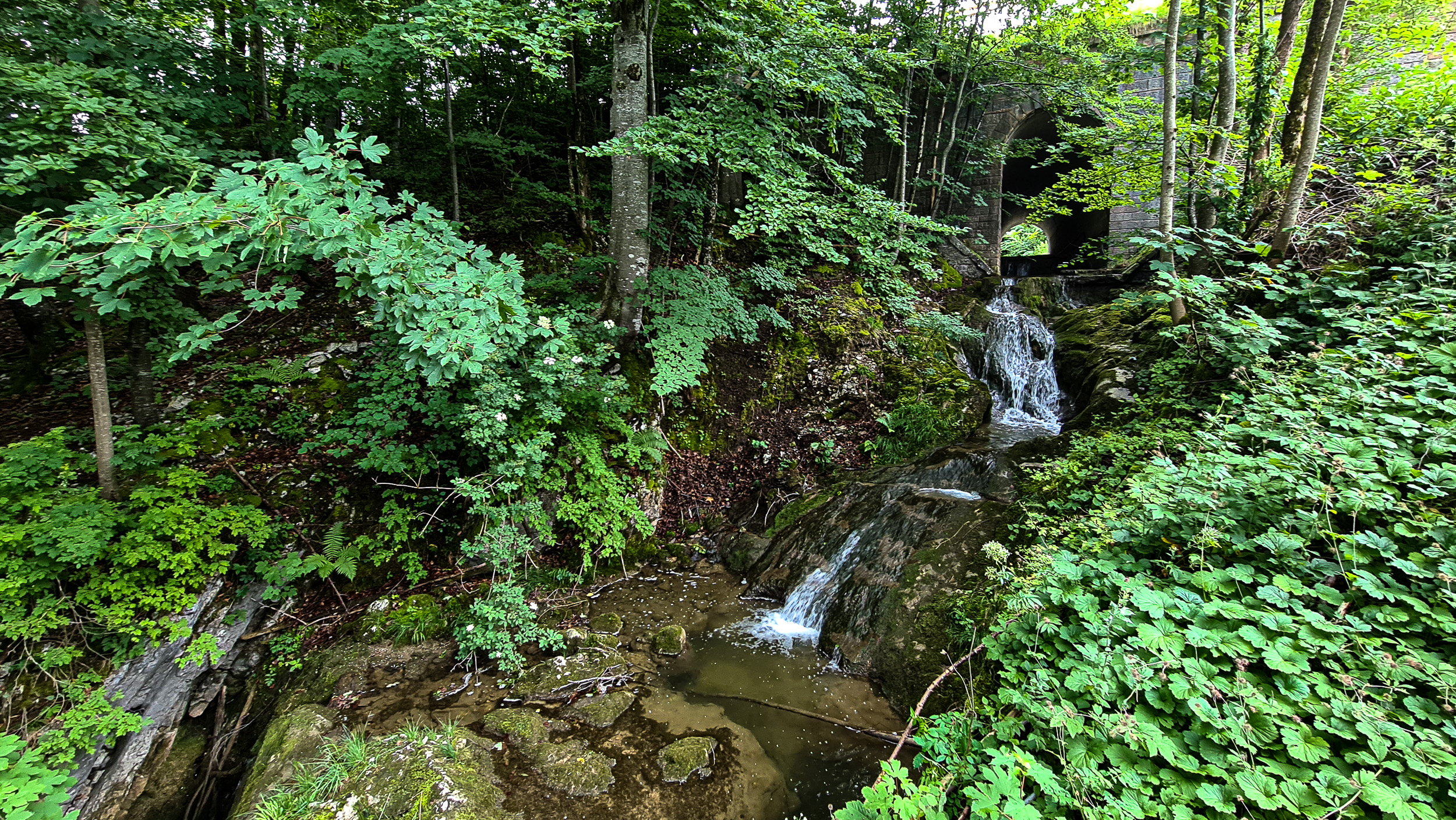 Der Baderbach neben dem Plötzhof © Melanie Deisl