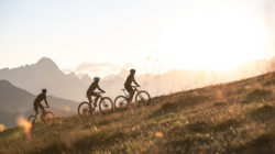 Mountainbike, Gravel-Bike, Rennrad oder Trekking-Bike?