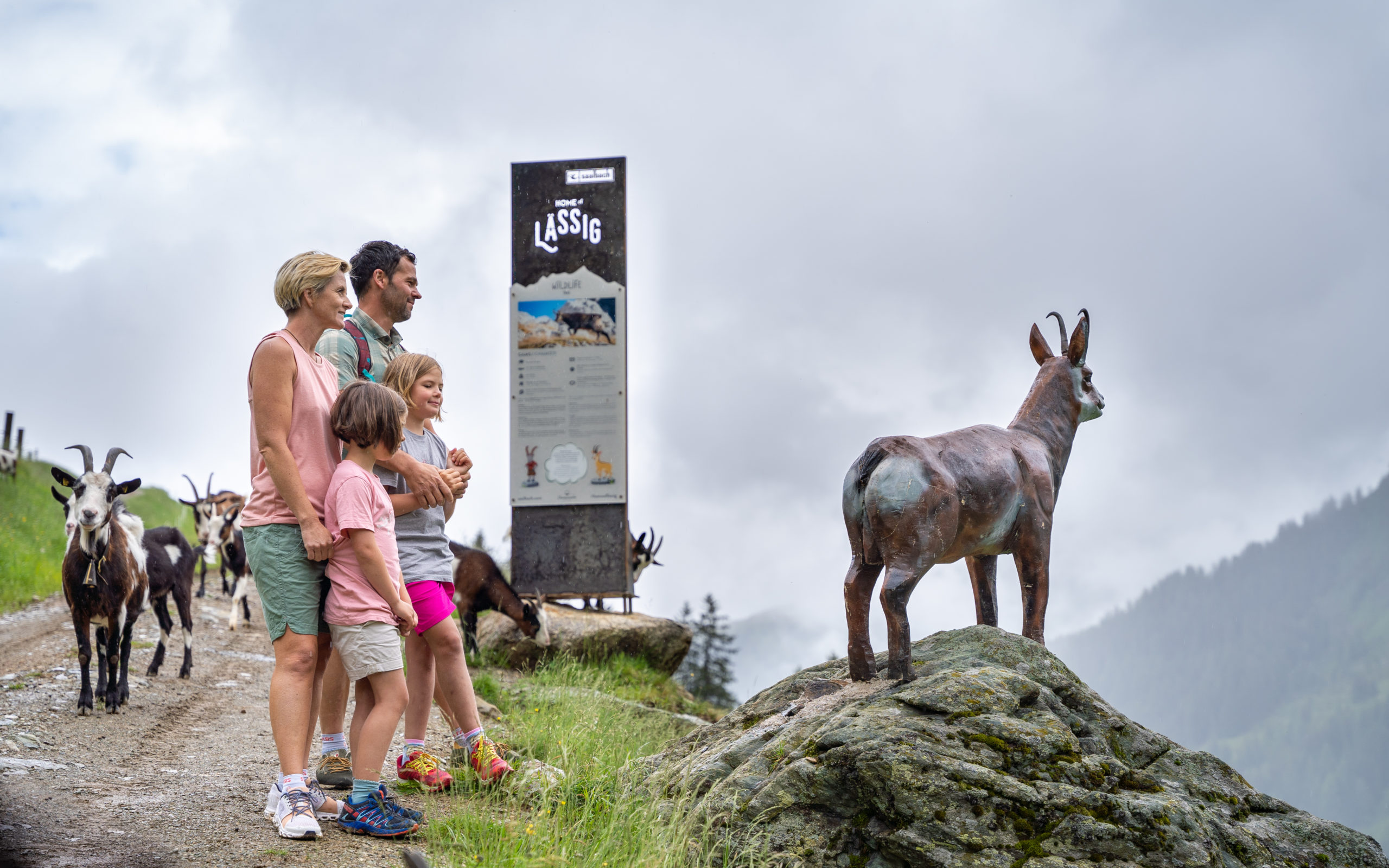 Wildlife Trail Saalbach