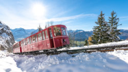 Adventzauber für die ganze Familie