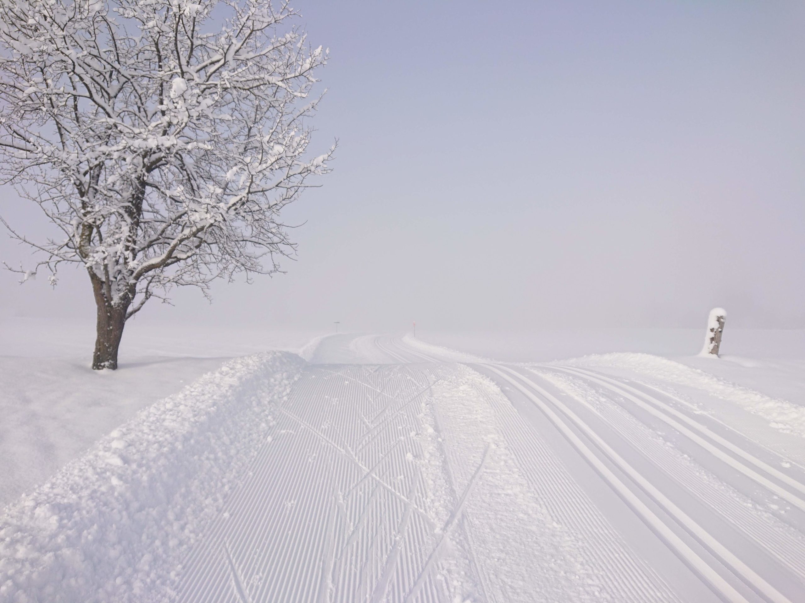 Langlaufen funktioniert bei jedem Wetter © Roland Loipold