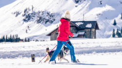 Person in roter Jacke beim Skifahren mit einem Hund in einer verschneiten Landschaft, mit einer Hütte und Bergen im Hintergrund.